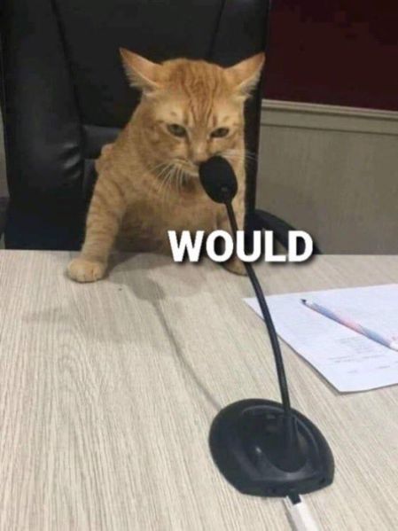 File:Would.jpg